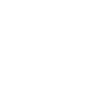 Fourmilier Tamandua Fourmilier Grands fourmiliers