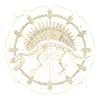 Stegosaurus Skelett – Kosmisches Boho Fossil