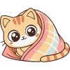 Cute Wrapped Covered Kitten