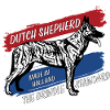 Dutch Shepherd - Dutchie 