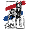 Dutch Shepherd - Dutchie 