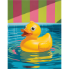Kunterbunte Gummi-Ente im Pool