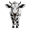 Monochrome Cow Head Illustration