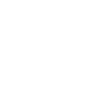 French Bulldog White