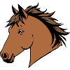 Chevaux T-shirt Cadeau Cavalier