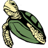Turtle Turtles