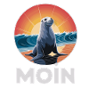 MOIN Seal Onde del Mare del Nord Tramonto