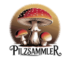 Mystical toadstools in the moonlight