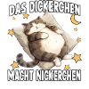 Lustiges Katzennachthemd Faulenzer Katzen