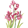 Fleur