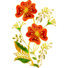 Fleur