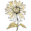 Fleur