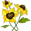 Fleur