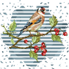 Bunter Vogel