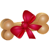 Gift Chew Bone with Red Ribbon