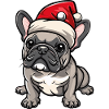 Buldog Français Chien Noël