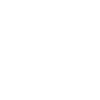 Bear Polygon Icon