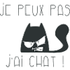 Je peux pas j'ai chat grognon