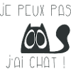 Je peux pas j'ai chat triste