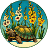 Sonnenbeschienene Schildkröte im Blumenbeet