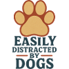 Easily Distracted by Dogs