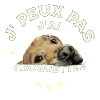 J'peux pas j'ai croquettes