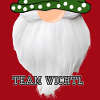 Team Wichtl Christmas Gnome