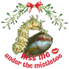 Mistletoe Kiss – Christmas Sea Greetings