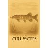 Still Waters Fish Illustration