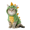 Cat Dino Dinosaur Costume Halloween