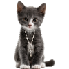 Collier croix de chat chrétien