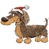 Funny Christmas Dachshund with Hat