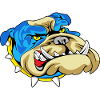 Blue Bulldog Snarl