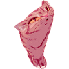 Squishy Pink