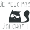 Je peux pas j'ai chat interrogateur