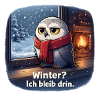 Winter Eule: Ich bleib drin