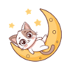 Dreamy kitten on the moon