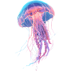 Rainbow Neon Jellyfish