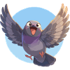 Pigeons Pigeon