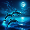 Moonlit Night Dolphin Jumps