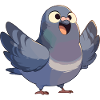 Pigeons Pigeon