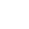 My roommate is a lizard