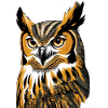 Owl Portrait in Flame Paint