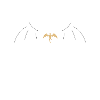 fourth wing dragon
