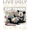 Funny Opossum