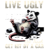 Funny Opossum
