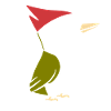 woodpecker