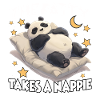 Panda nightgown – funny pajamas, cozy pan