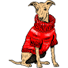 Hund im roten Strickpullover