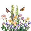 Dans le jardin des papillons
